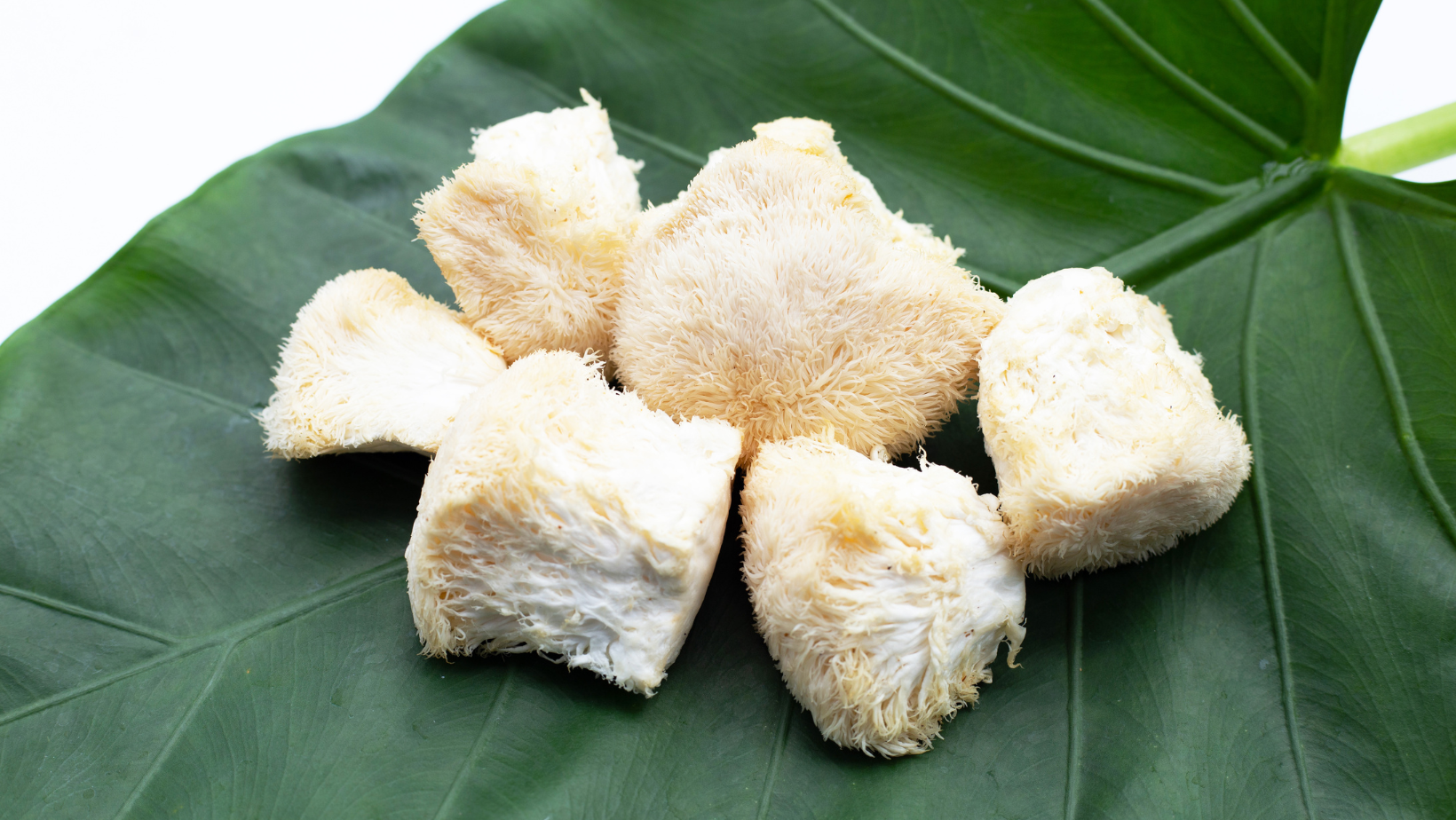Unlocking the Power of Mushrooms: 5 Varieties and Their Health Benefits